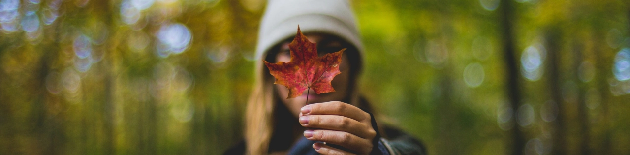 Kanadischer Stil: 14 Bekleidungsmarken definieren ethische Mode